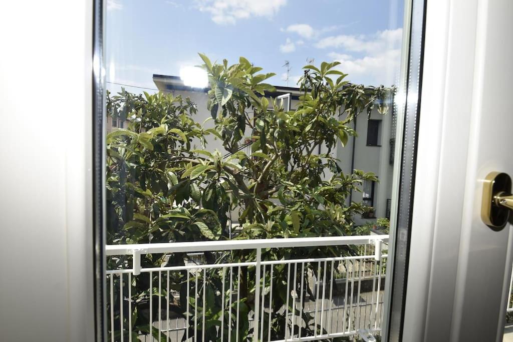 Balkón nebo terasa v ubytování Anzio 9 Guest House