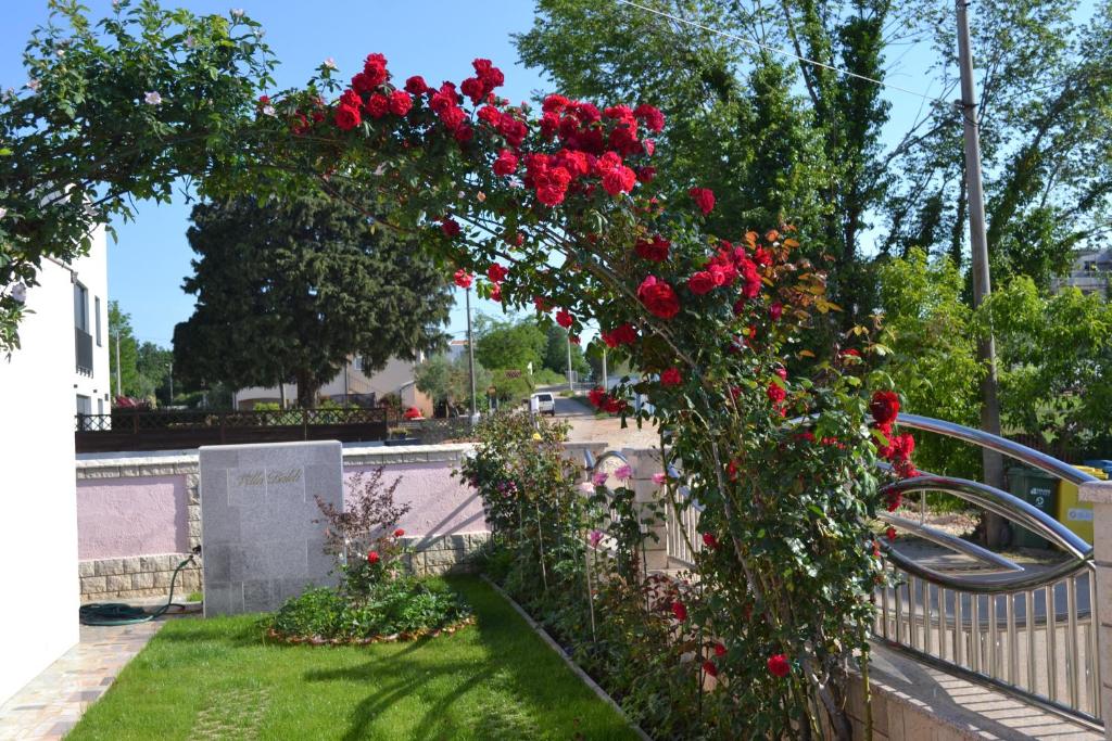 a bush of red roses on a fence at Villa Baldi -Apartmani Danny in Tar
