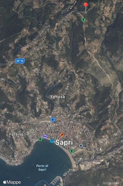 Příroda nedaleko apartmánu
