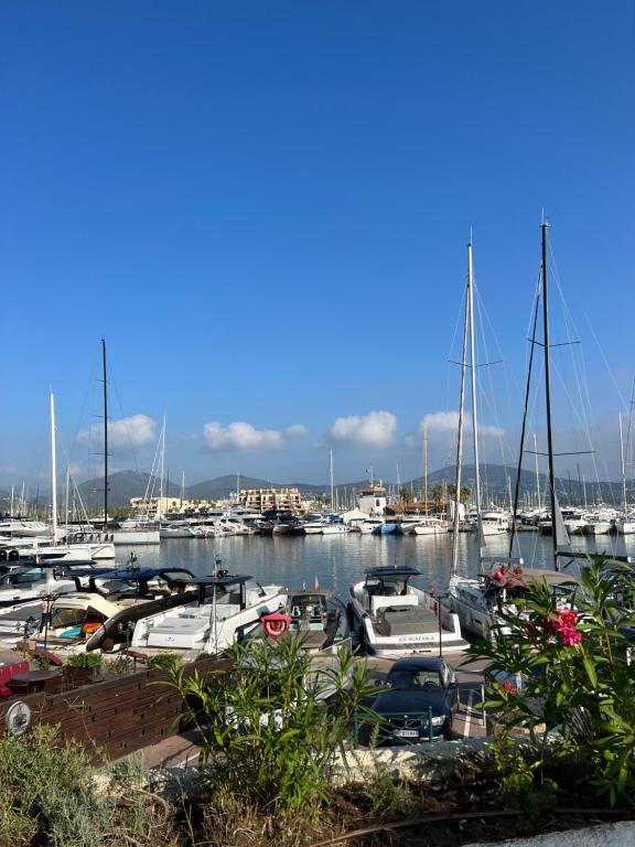 un groupe de bateaux amarrés dans un port dans l'établissement Belle vue Golfe de St Tropez Marines de Cogolin La Galiote, à Cogolin