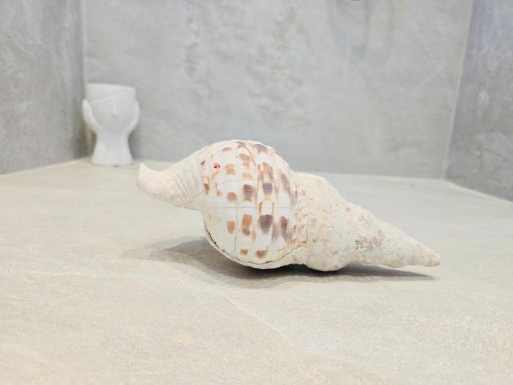 Fotografie z fotogalerie ubytování C Suites Mykonos ve městě Mykonosu