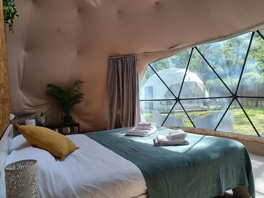 um quarto com uma cama e uma grande janela em Glamping Cañon del Rio Lobos em Ucero