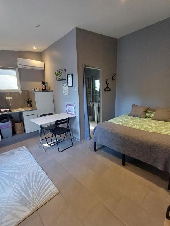 Studio meublé tout confort climatisé - Apartamento - Planta Baja
