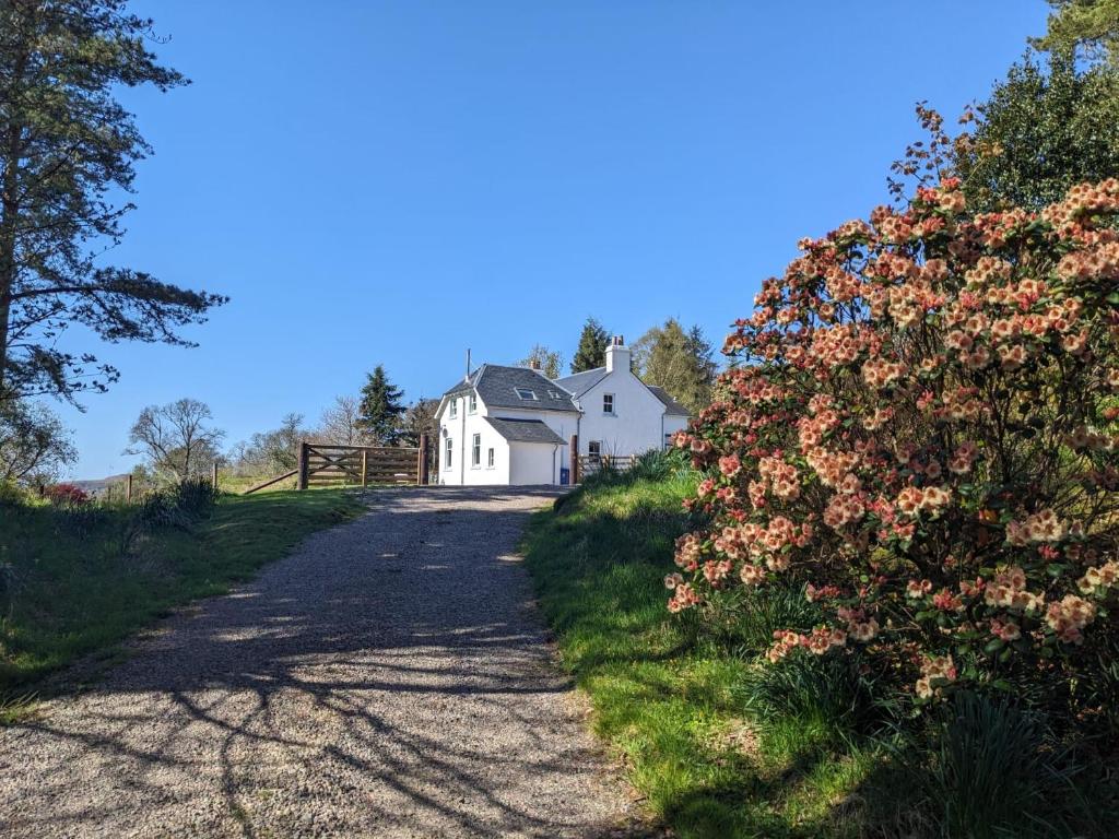 Une route avec une maison blanche et une brousse fleurie dans l'établissement Achalic Farm House, à Lerags