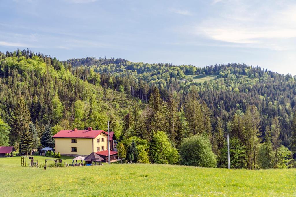 ein Haus auf einem Hügel auf einem Grasfeld in der Unterkunft Pokoje u Marioli in Wisła
