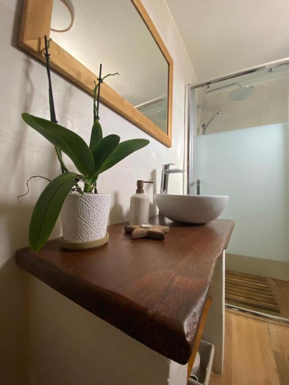 un baño con lavabo y una planta en un mostrador en Casa do Serro de Lá, en Santa Clara-a-Nova