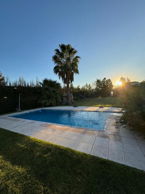 a swimming pool in a yard with a palm tree at Casa Las Palmas in Ciudad Lujan de Cuyo