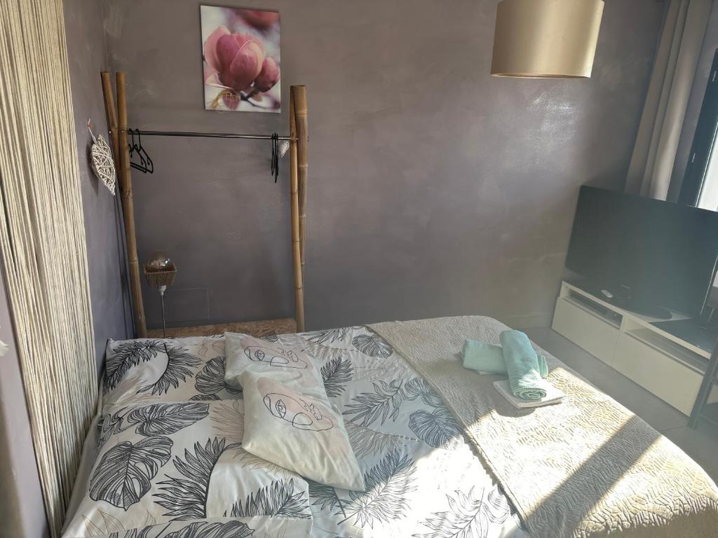 Postel nebo postele na pokoji v ubytování Studio cosy « Le Cocon » avec piscine et spa