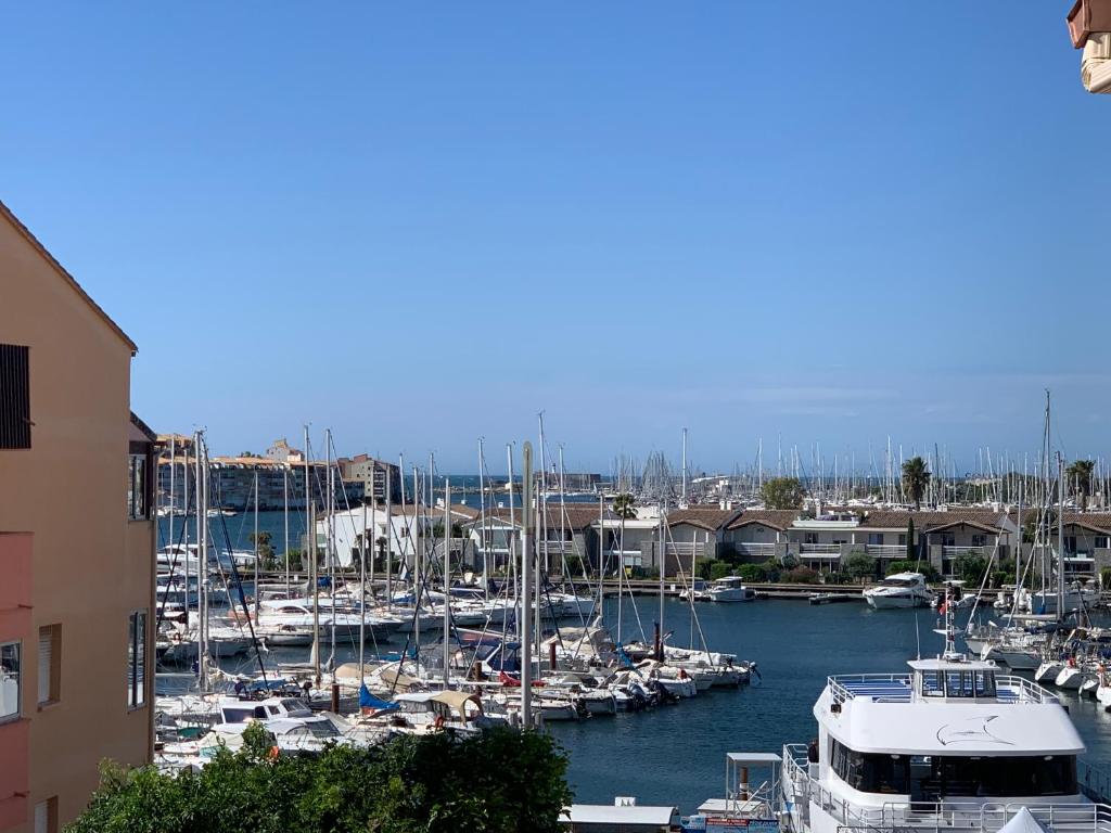 un groupe de bateaux amarrés dans un port dans l'établissement T5 centre port cap d Agde et piscine, au Cap d'Agde
