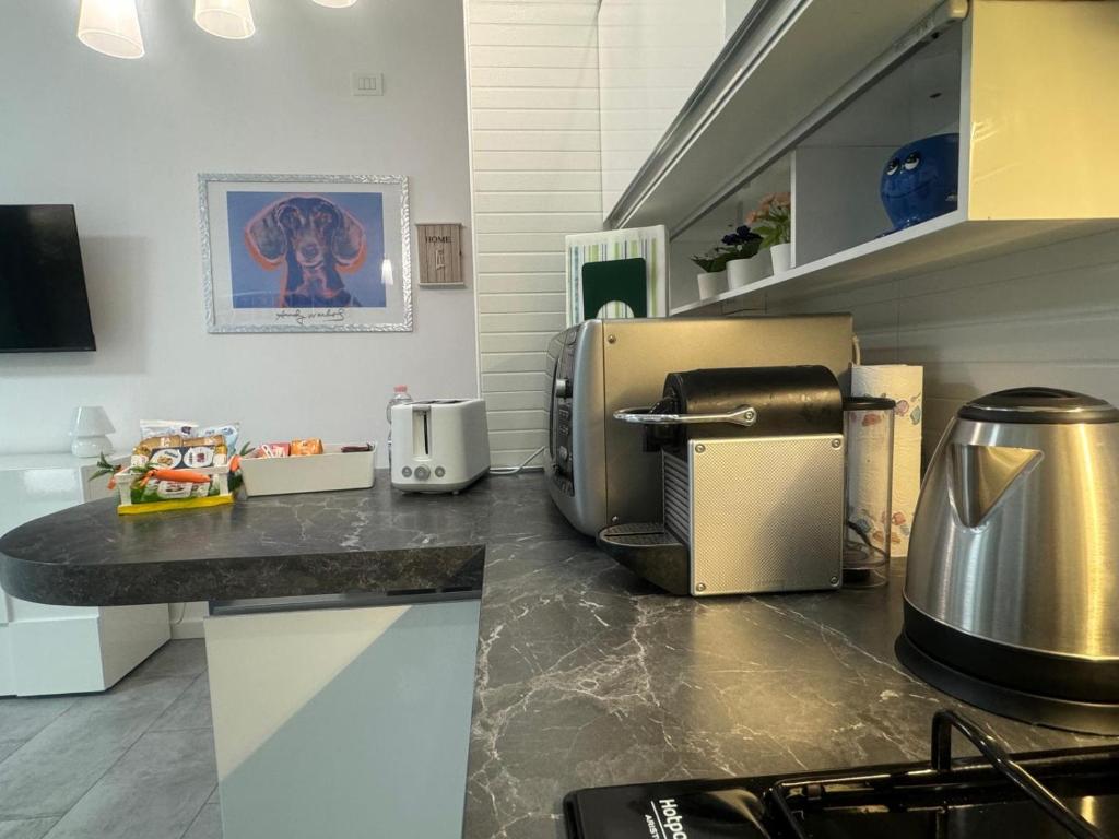 Kuchyň nebo kuchyňský kout v ubytování Maison Du Pic - Rho Fiera