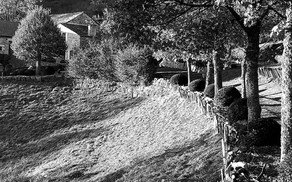Příroda nedaleko bed and breakfast
