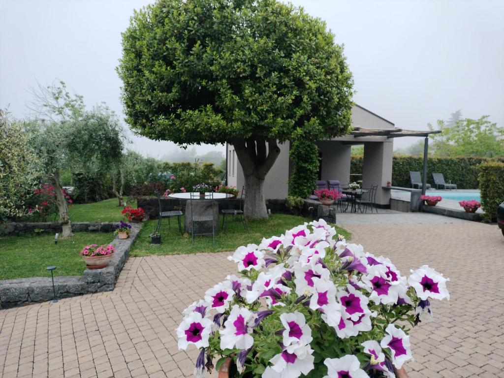 Ogród w obiekcie La Casa dell'Alloro