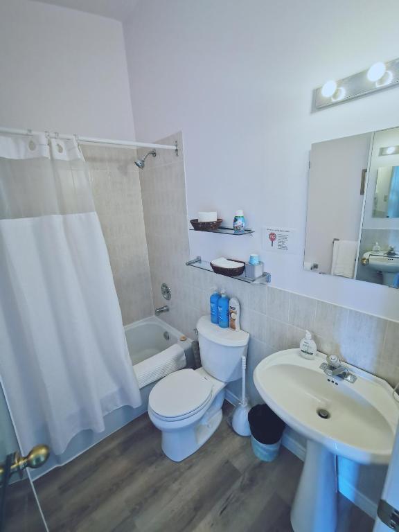 a bathroom with a white toilet and a sink at 181 Oceanside Inn in Peggy's Cove
