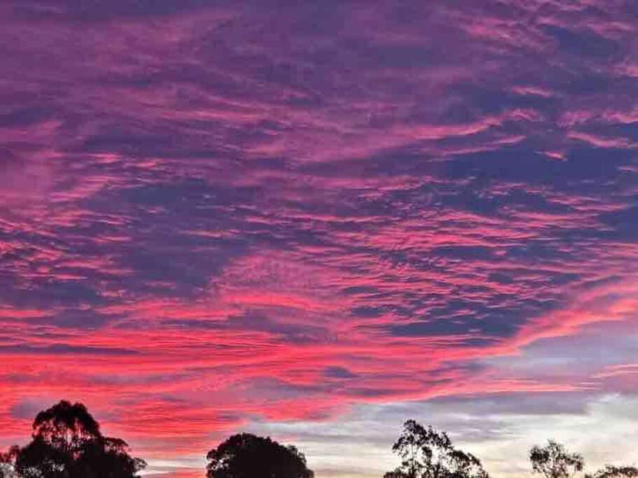 バーンズデイルにあるSunset Manor Stays- Pet Friendly Unit Bairnsdaleの空のピンクの雲が沈む夕日
