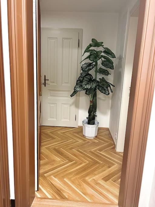 Foto Prahas asuva majutusasutuse NewAPT next to Wenceslas Square galeriist
