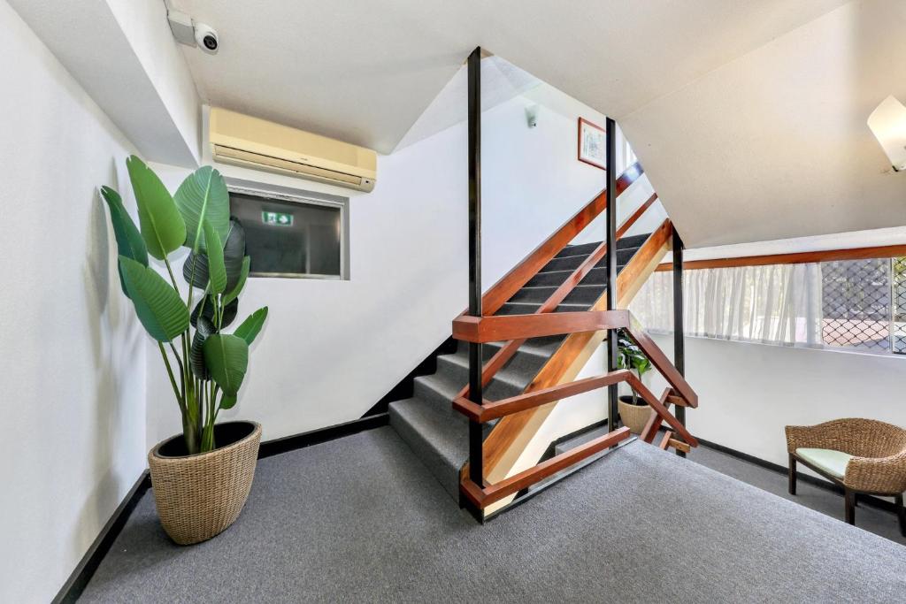 Fotografie z fotogalerie ubytování Paravista Motel v destinaci Darwin
