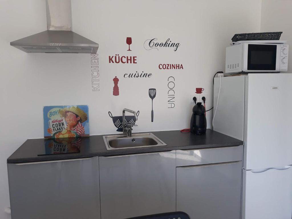 une cuisine avec un évier et un réfrigérateur dans l'établissement Mexico, à Saint-Mitre-les-Remparts