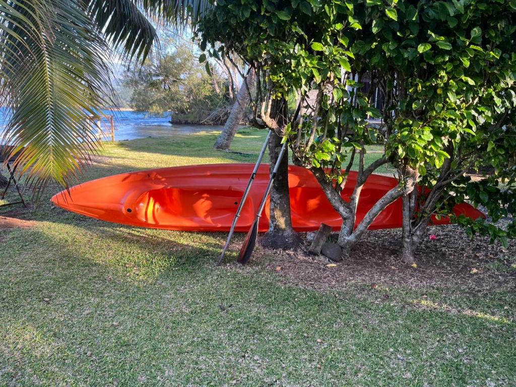 Bungalow Moana - photo 10 - Tahiti, Polynésie