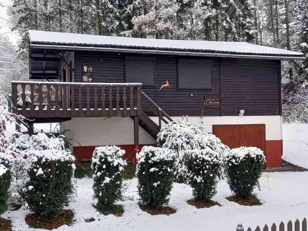 Chalet in Rendeux with BBQ Terrace v zimě
