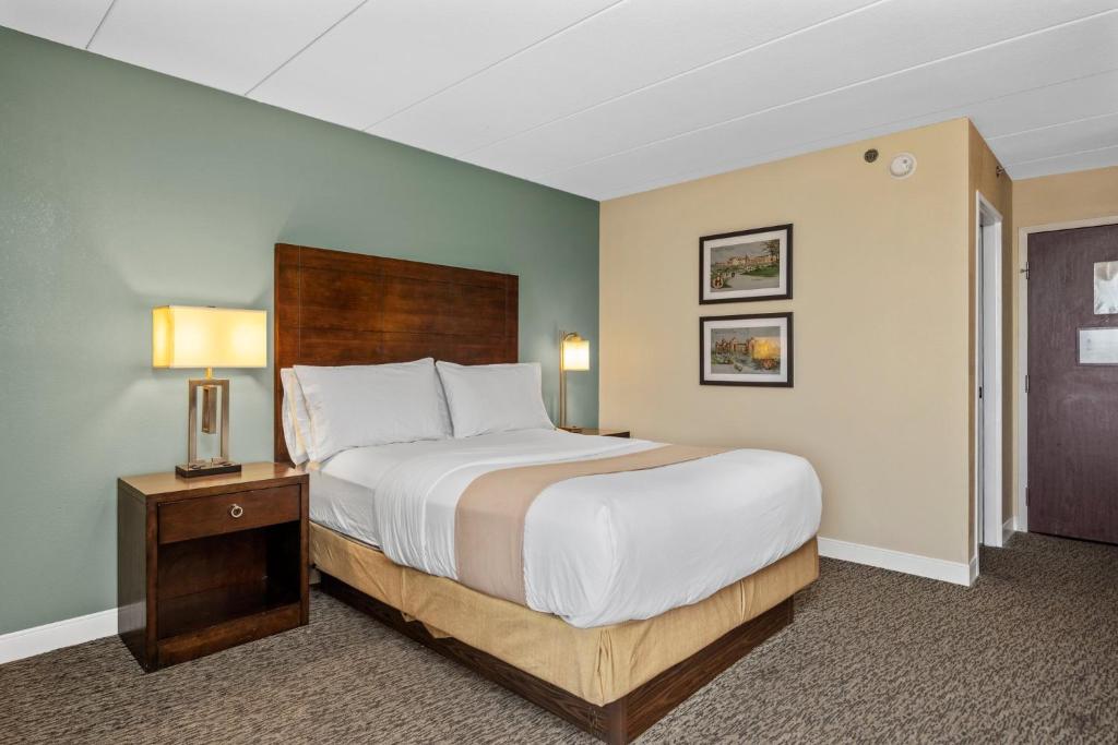 Forest Park Hotel - Habitación Individual Estándar