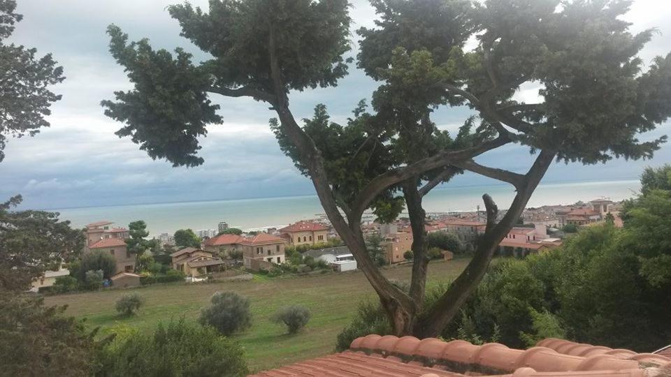 Przyroda w pobliżu tego obiektu B&B