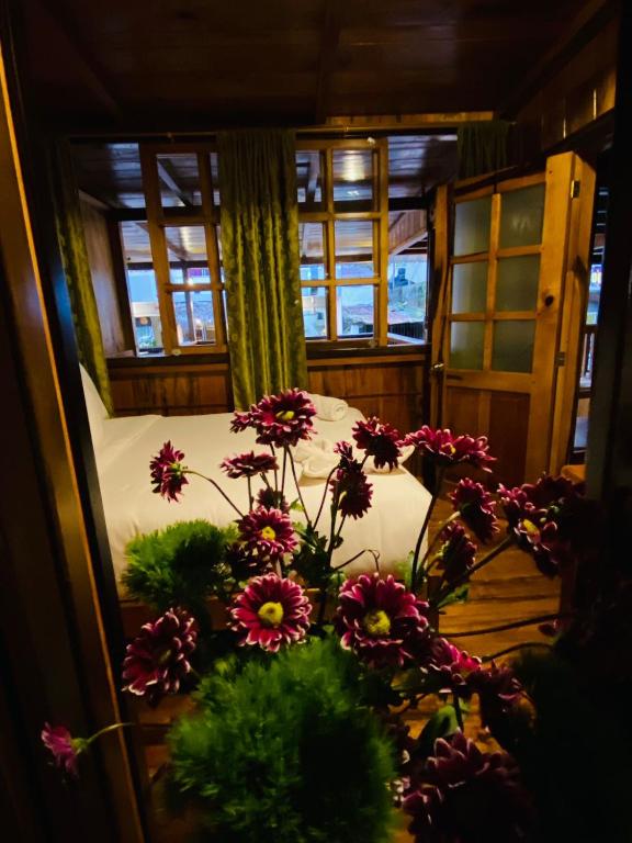 Zahrada ubytování Guayabo Hostal Mindo