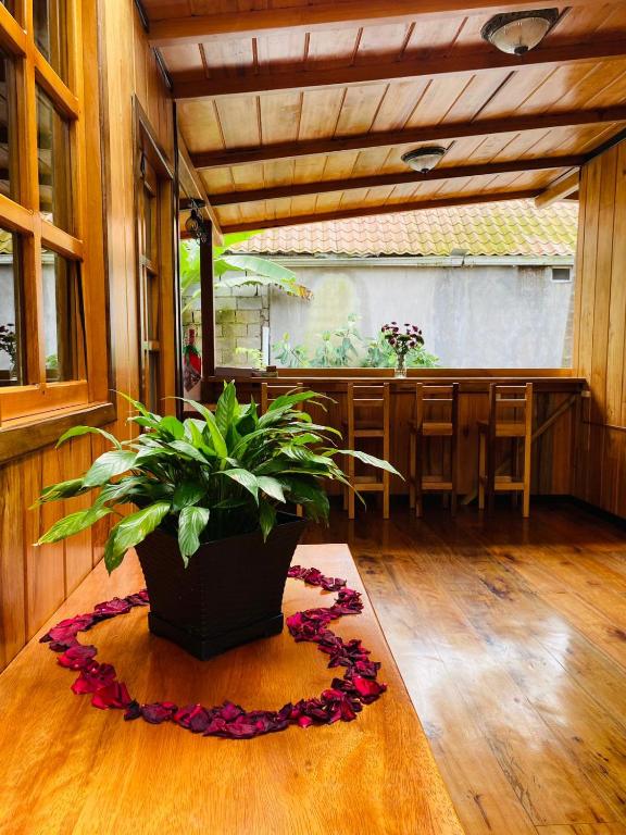 Fotografie z fotogalerie ubytování Guayabo Hostal Mindo v destinaci Mindo
