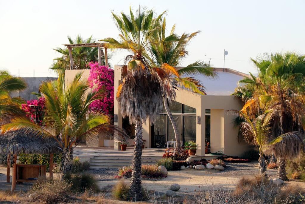 una casa con delle palme davanti di Todas Las Familias, Baja Dream House a Todos los Santos