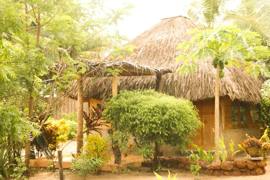 Zahrada ubytování Monsoon Eco Resort - Whisky point Arugambay