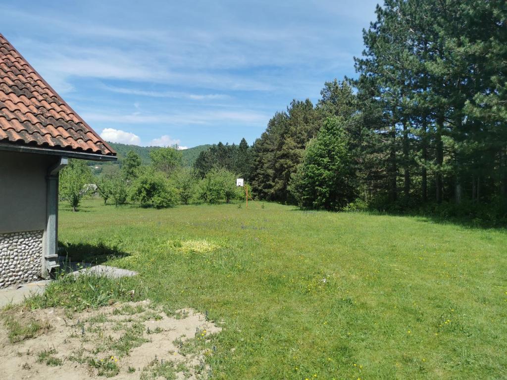 Příroda nedaleko apartmánu