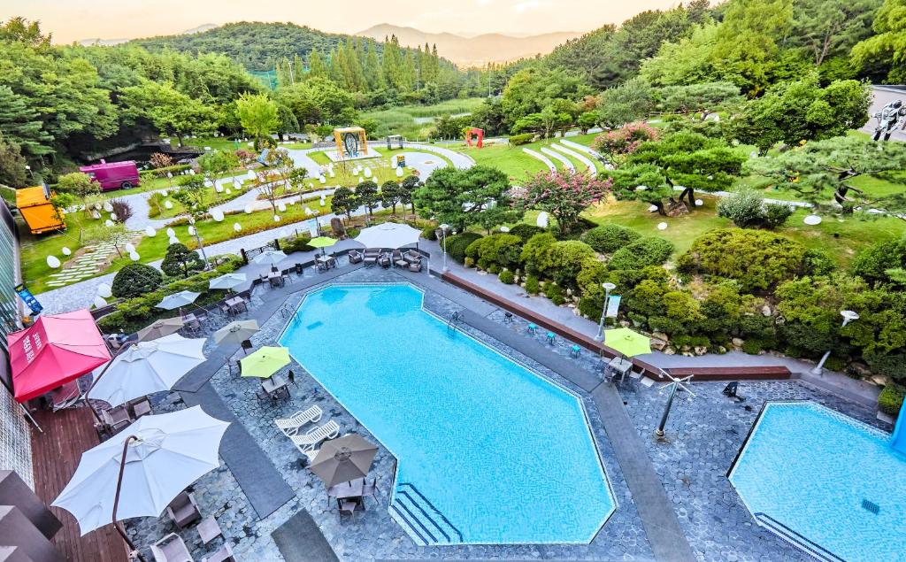 - une vue sur la piscine d'un complexe dans l'établissement Kolon Hotel, à Gyeongju