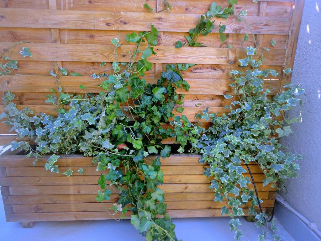 Coco-Mat Hotel Nafsika - Resim 38