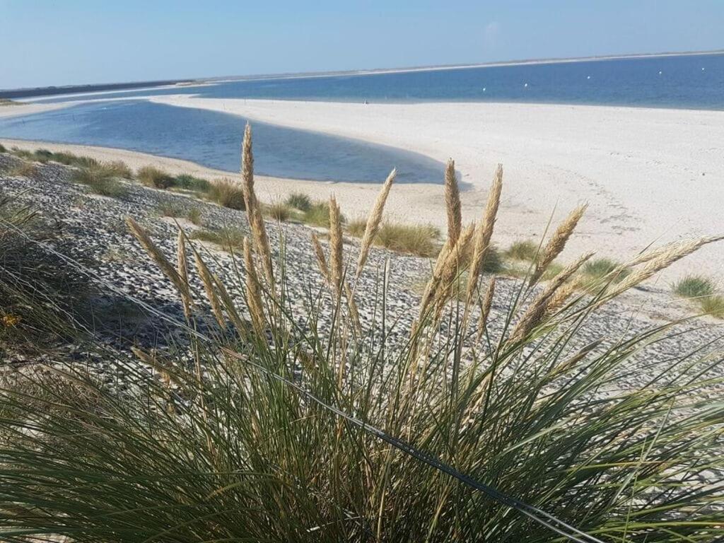 a sandy beach with tall grass in the foreground at FeWo Nero Comfortable holiday residence in Niebüll