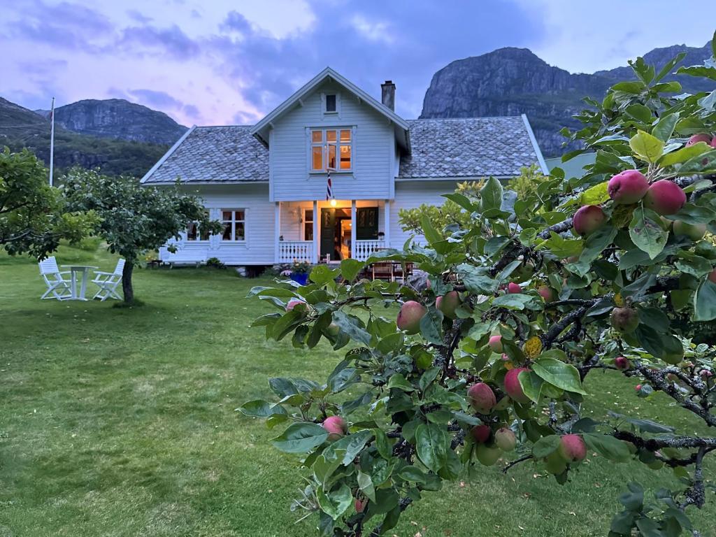 a white house with an apple tree in the yard at Hauane Bed and Breakfast in Sandnes