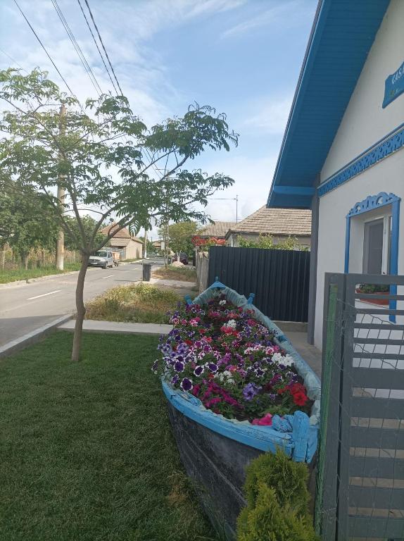Zahrada ubytování Casa Katiușa