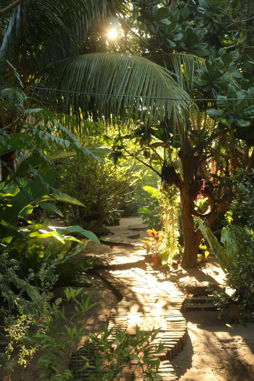 un camino a través de una jungla con una palmera en Monsoon Eco Resort - Whisky point Arugambay en Pottuvil