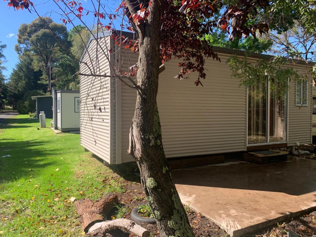 a house with a tree in front of it at Blue Sapphire Village Pet Friendly in Glen Innes