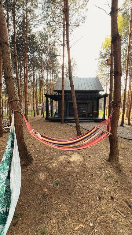 a hammock hanging between two trees in a forest at Zielone Drzwi in Życiny