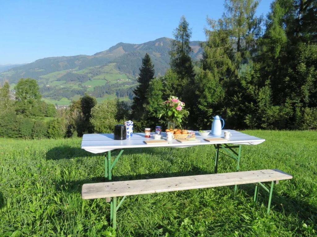 une table de pique-nique et un banc dans un champ dans l'établissement Schernthaner mountain hut, à Taxenbach