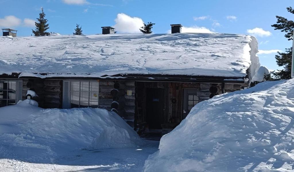 Revontuli 1 om vinteren