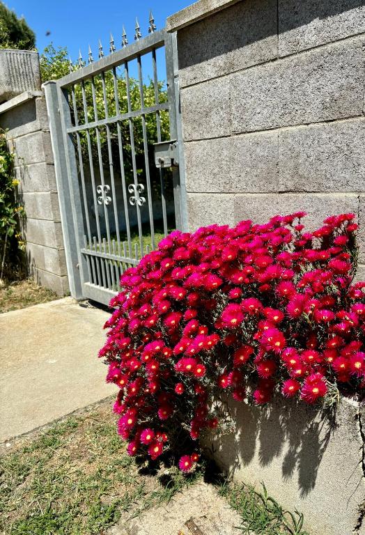 Zahrada ubytování Tra campagna e mare