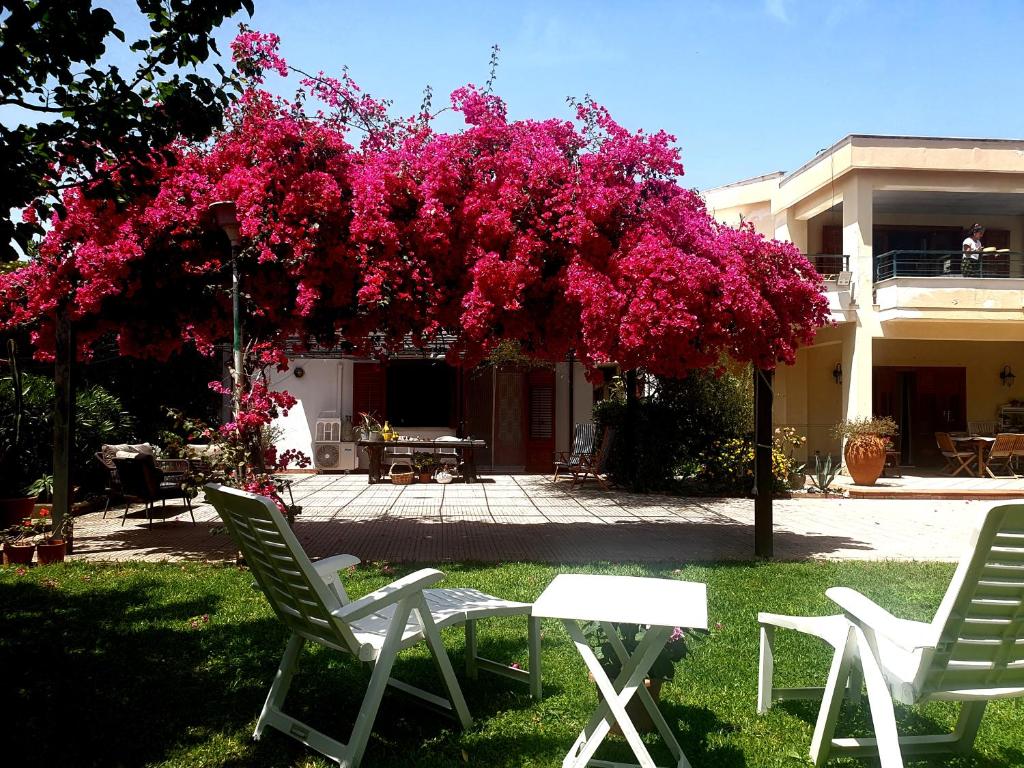 un arbre avec des fleurs roses dans une cour dans l'établissement La depandance di Villa Rosa locazioni brevi, à Mondello