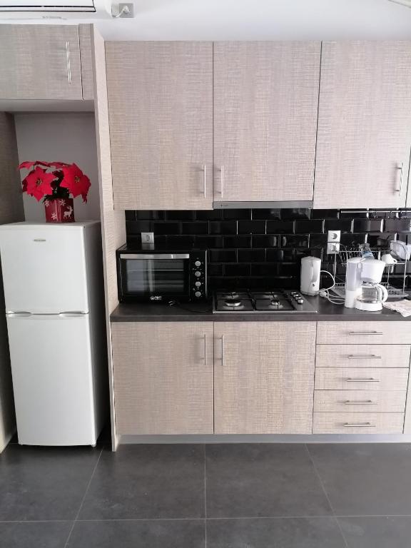 Kuchyň nebo kuchyňský kout v ubytování Manolis Loft