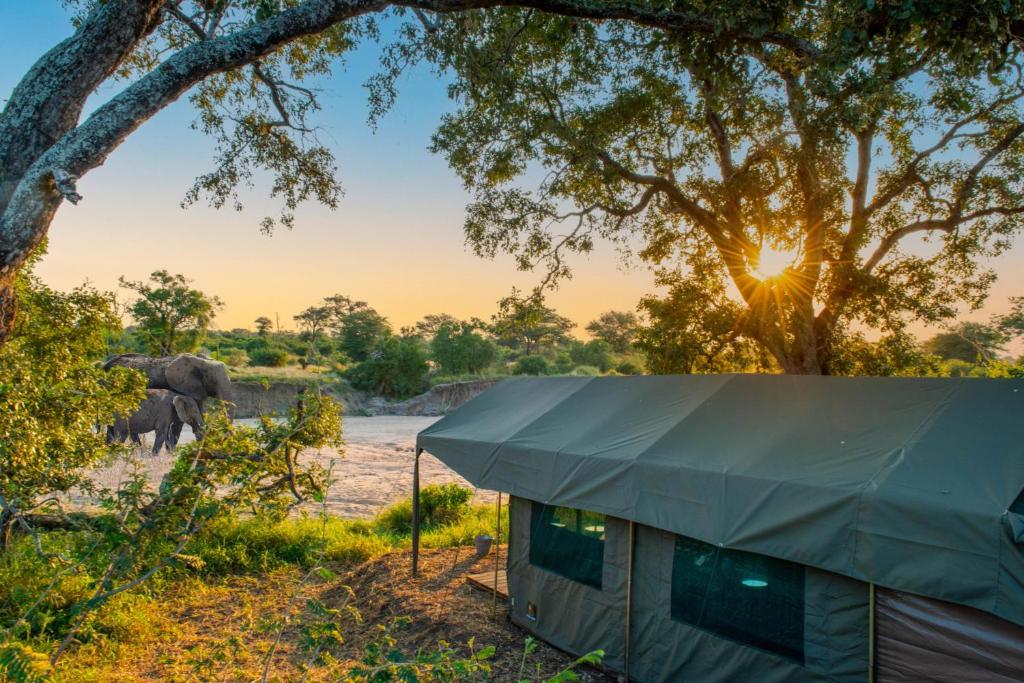 Příroda nedaleko luxury tent