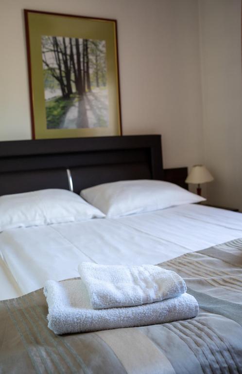 Postel nebo postele na pokoji v ubytování Aparthotel Strefa Premium
