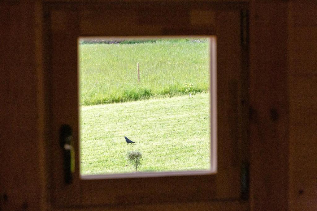 Fotografie z fotogalerie ubytování Chalet 5 personnes, proche canal v destinaci Landeleau