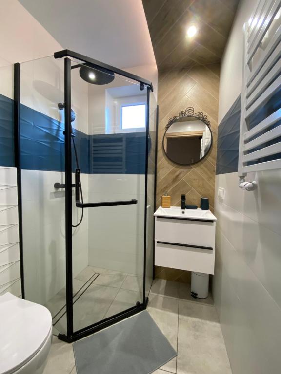 a bathroom with a shower and a toilet and a sink at Leśne Apartamenty - Pokój Niebieski in Hel