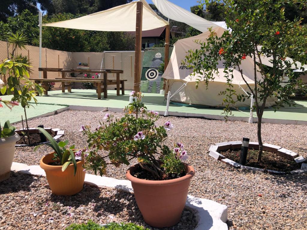 Zahrada ubytování Camping Tents with Garden Hanging Bed