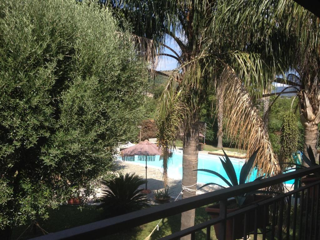 a view of a swimming pool with palm trees at Chorisia Relais in Roccapiemonte