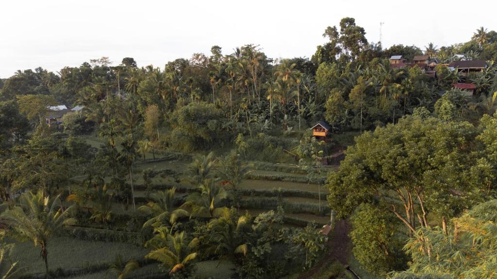 The Alam Bungalow & Restaurant - 11